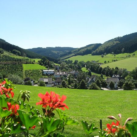 Ferienbauernhof Goerdes Apartment Schmallenberg Exterior photo